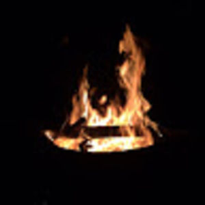 Meet your Posher, Billy